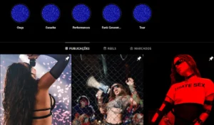 Quantos seguidores tem Anitta no Instagram